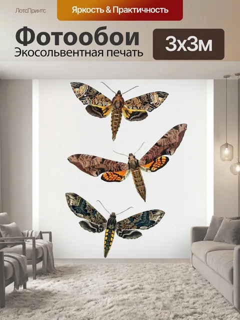 Фотообои Бабочки цветы старинные старые