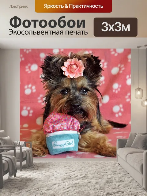 Фотообои Йоркширский терьер