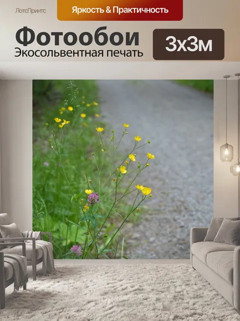 Фотообои Обочина