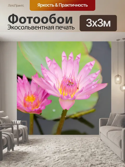 Фотообои Водяная лилия