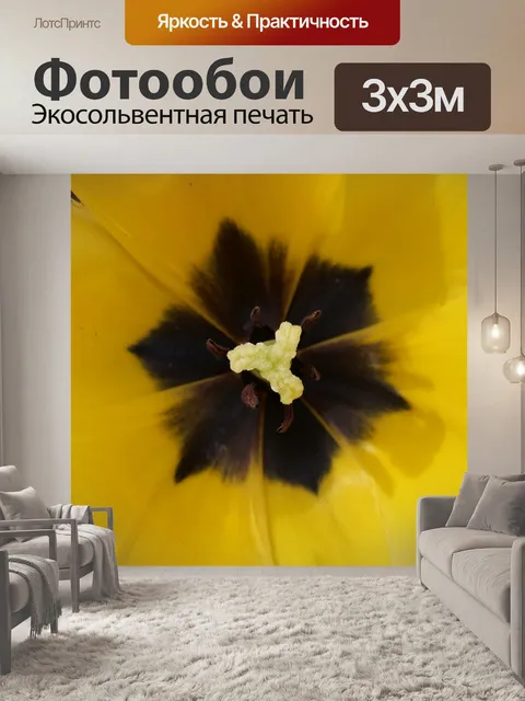 Фотообои Цветок