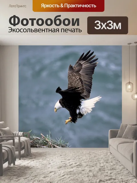 Фотообои Белоголовый орлан