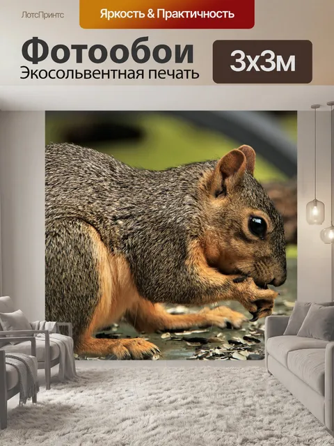 Фотообои Лиса ест семена крупным планом