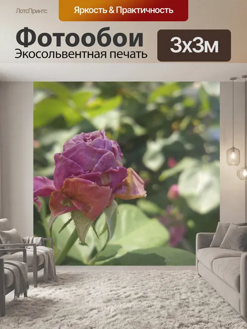 Фотообои Круглая роза
