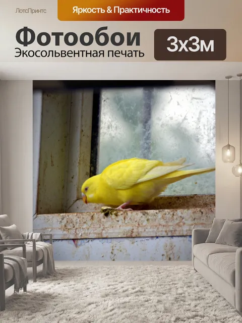 Фотообои Желтый попугай