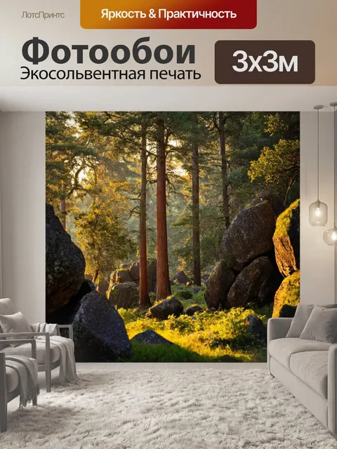 Фотообои утро, старые скалы с высокими деревьями, где утренний свет освещает загадочный лес