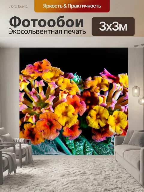 Фотообои Кабриолет роза