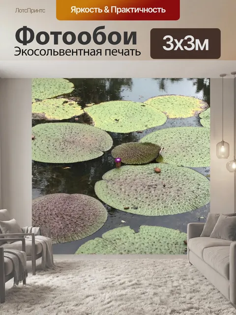 Фотообои Водяные лилии