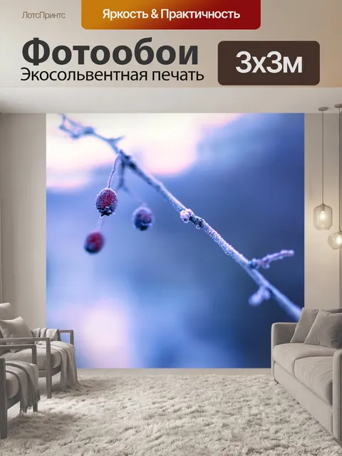 Фотообои Кристаллы льда
