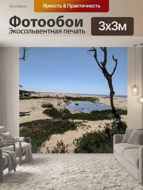 Фотообои Голые деревья