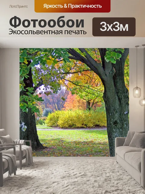 Фотообои Осень Деревья и кустарники