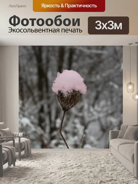 Фотообои Снег превратился в леденец