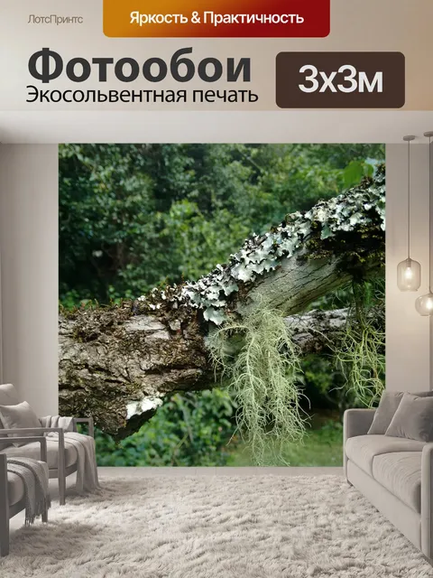 Фотообои Мох
