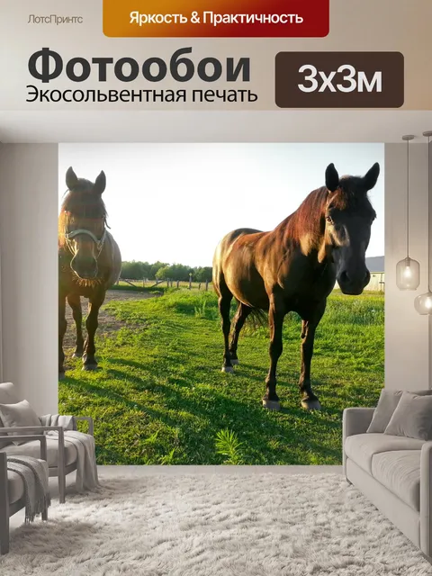 Фотообои Две лошади