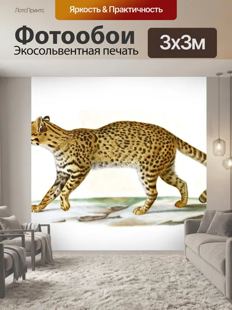 Фотообои Большая кошка кошка старинное искусство