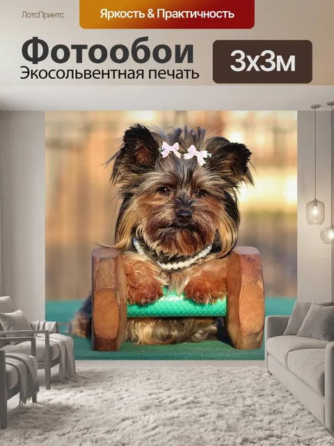 Фотообои Йоркширский терьер