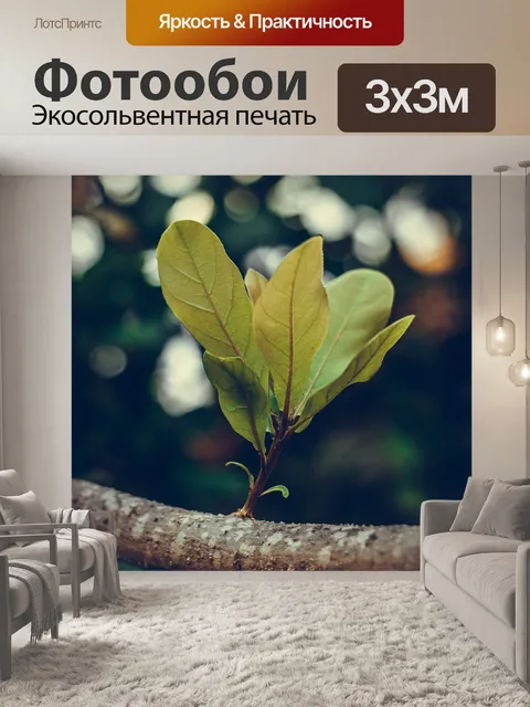 Фотообои Букет