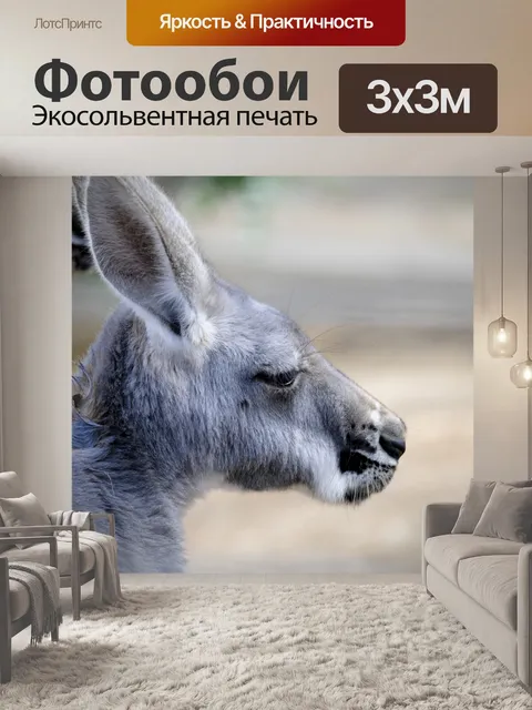 Фотообои Кенгуру профиля