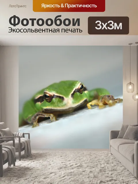 Фотообои Зеленая лягушка