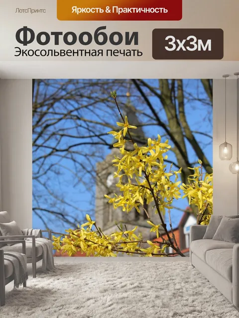 Фотообои Весна
