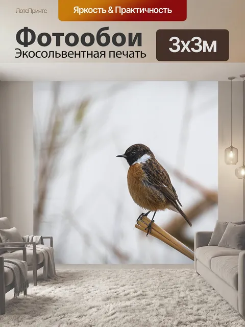 Фотообои Птицы