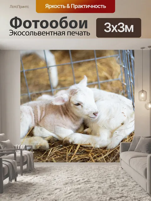 Фотообои Младенцы