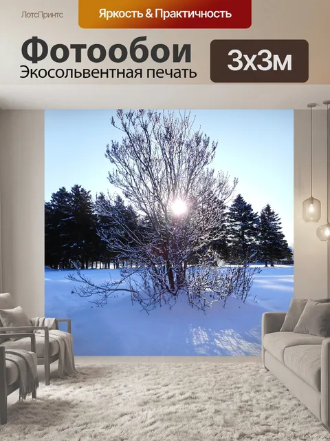 Фотообои Зима