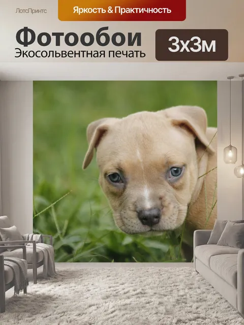 Фотообои Щенок