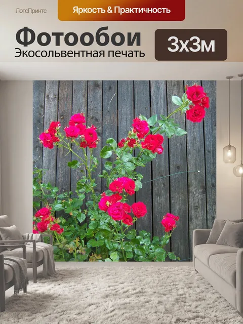 Фотообои Розы
