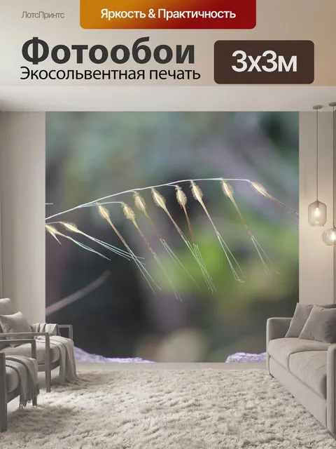 Фотообои Поле