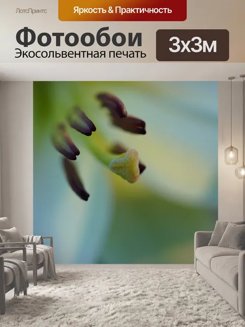 Фотообои Лили