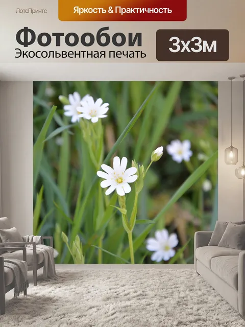 Фотообои Белые цветы