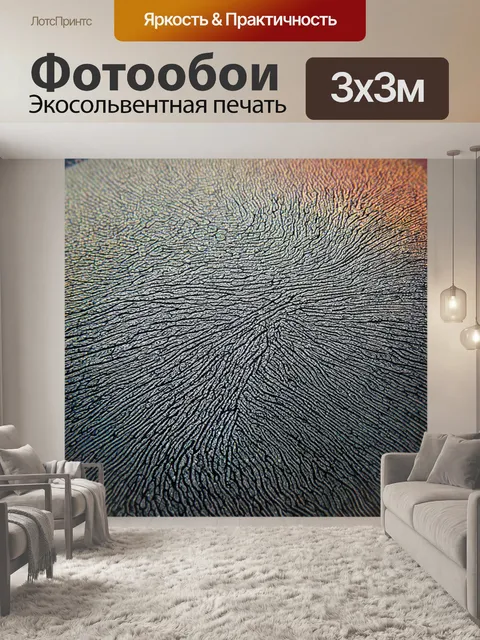 Фотообои линии контуров объекта на фотографии