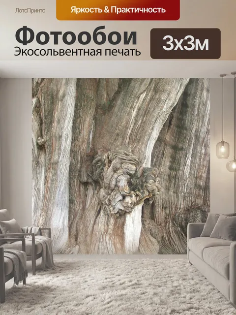 Фотообои Árbol del tule