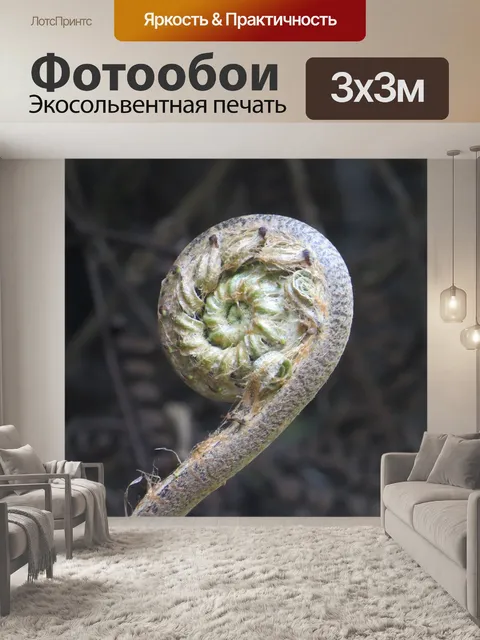 Фотообои Seeds