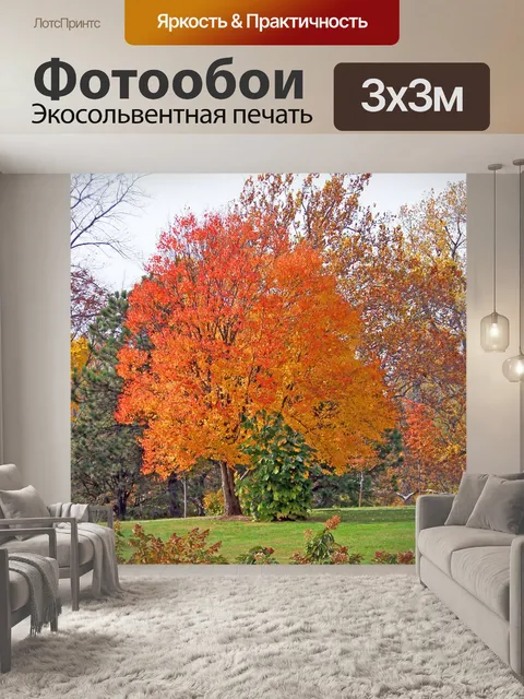 Фотообои Осень Деревья в парке