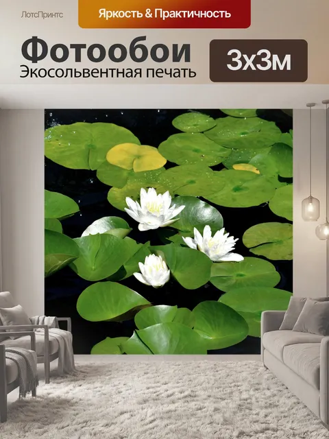 Фотообои Белая лилия