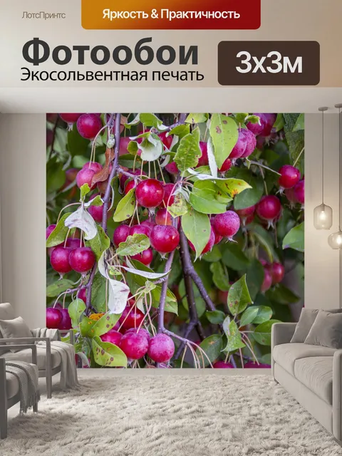 Фотообои ягоды