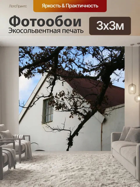 Фотообои тяжелые ветви над крышей
