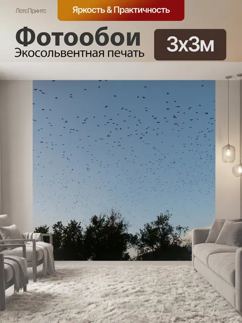Фотообои Стая птиц