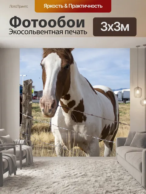 Фотообои коричнево-белая лошадь