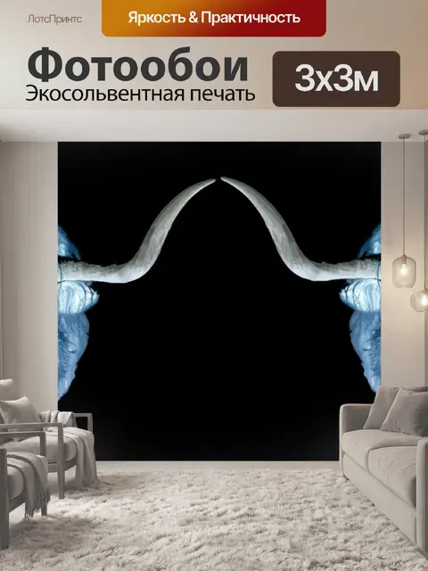 Фотообои Картина коровы Хайленд