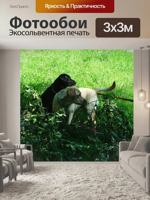 Фотообои Две собаки