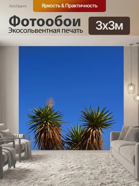 Фотообои Глядя вверх Зеленая ветка дерева Sky