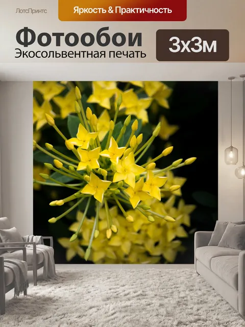 Фотообои Цветы