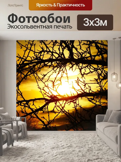 Фотообои Солнце