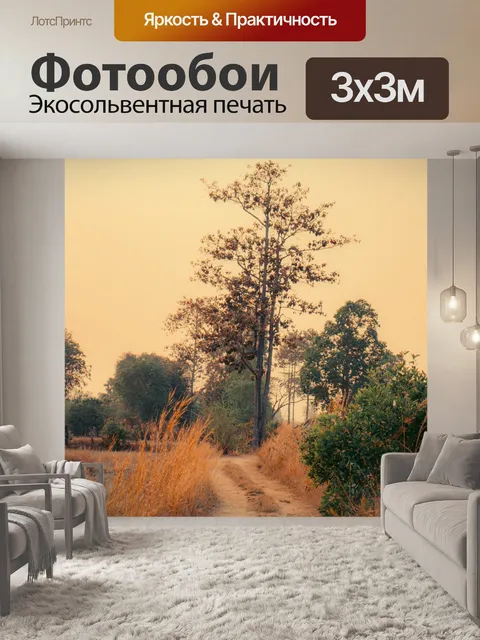 Фотообои Грязная дорога