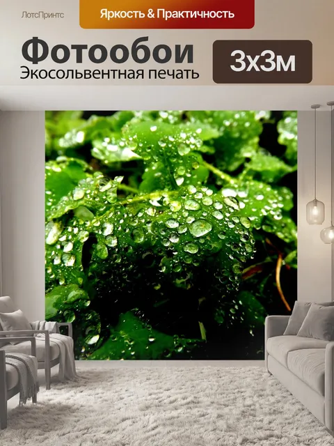 Фотообои Листья