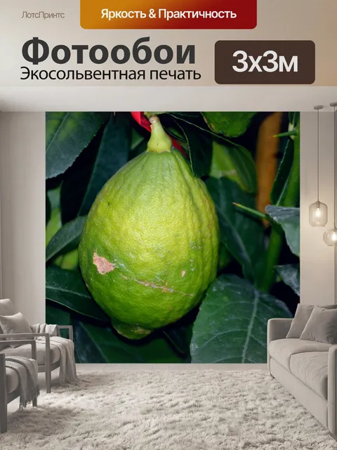 Фотообои Незрелый лимон