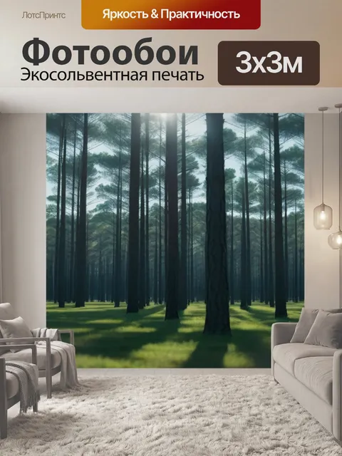 Фотообои солнце сквозь сосны весной